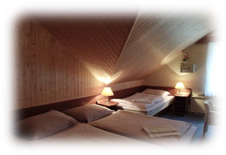 Hotel Prom Свобода-над-Упоу Номер фото