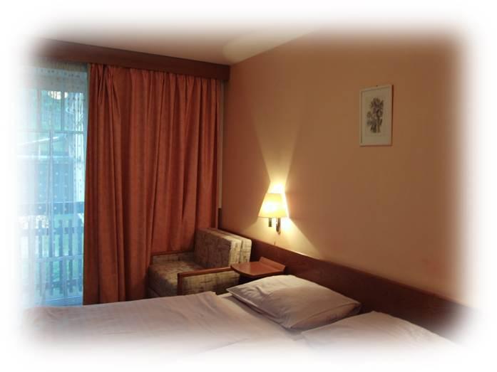 Hotel Prom Свобода-над-Упоу Номер фото